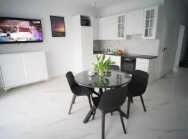 Apartament Powidz