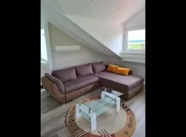 NEU Ferienwohnung Odenwald