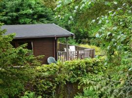 Mockerkin Tarn Luxury Log Cabin, hotel ad Ambleside