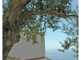 Al Poggio Antico