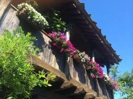 Stefanina Guesthouse