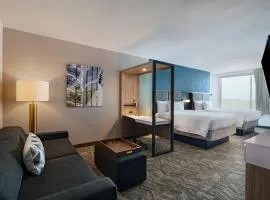 SpringHill Suites by Marriott Dallas Richardson/University Area