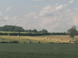 Vicq-sur-Nahon에 위치한 홀리데이 홈 La casa en el campo A 20 minutes de Zoo Beauval & 8 minutes de la flamme olympique à Valençay