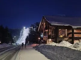 Levi Platinum Aurora