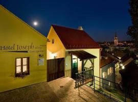 Hotel Joseph 1699, boutique hotel in Třebíč