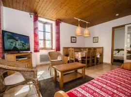 Appartement central à Chamonix avec WiFi et animaux acceptés - FR-1-343-216