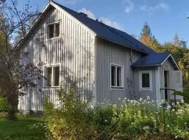 Villa Mäntysaari luonnonrauhaa kaupungin lähellä.