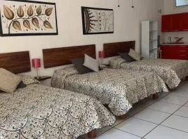 DEPARTAMENTOS ANAHUAC