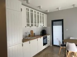 Apartament Ustrońska Jodełka z Balią i Ogrodem-Nadrzeczna