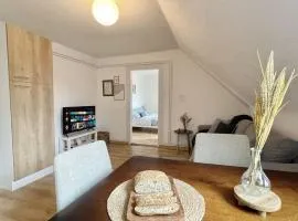 Confort, idéalement situé, 2 chambres en enfilade, parking gratuit, tram-train, proche autoroute