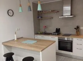 Nice and modern apartment Emili