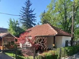 Kuca za odmor Ana, Sokobanja