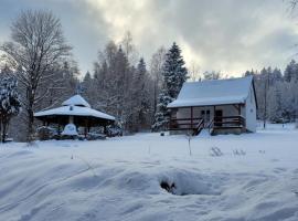 HENRYKOWO, hotel in Stronie Śląskie
