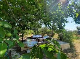 La Cecia - Casa vacanze nella campagna salentina