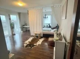 Complete Apartment peacefully situated near the Airport Nürnberg