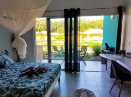 Appartement avec piscine et accès direct plage 102