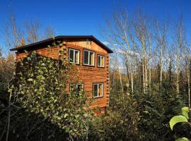 Denali Park View Family Log Cabin, hotel with parking in McKinley Park