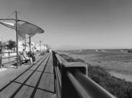 Studio 306, Cabanas