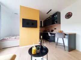 StudioApartman M