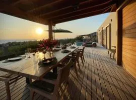Caribbean Oceanview Villa