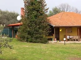 Olympos House