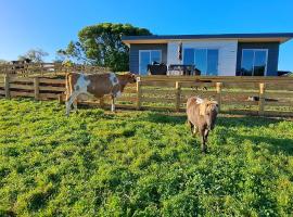 Country Comfort, self catering accommodation in Hamilton