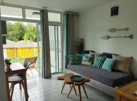 Appartement avec piscine et accès direct plage 249