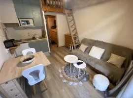 Studio Le Biot, 1 pièce, 5 personnes - FR-1-573-55