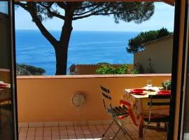 Grotta Azzurra Apartment - Cavoli - Terrazza vista mare, clima e parcheggio