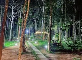 Tall Trees - Modern forest Villa in Wayanad