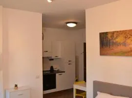 1Dest - Green Spot