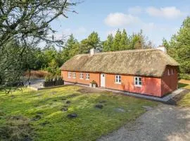 Amazing Home In Pandrup