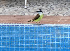 "The Blue" eco lodge, Hotel in Valladolid