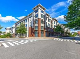 Cozy and Bright Apartments at Marble Alley Lofts in Downtown Knoxville