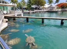 Ocean Feel @ Fruitfulville