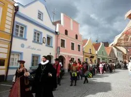 Modrá růže Třeboň