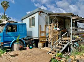 The Magic Truck，‘Amqa的小屋