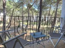 Appartement Argelès-sur-Mer, 1 pièce, 4 personnes - FR-1-225-687