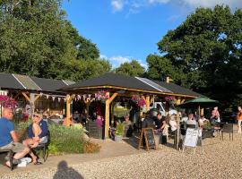 Glamping at Back Of Beyond Touring Park, hotel in Saint Leonards