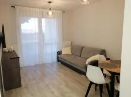 Apartament Mielczarskiego