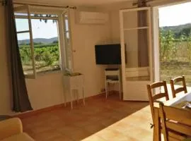 LES VIGNES ET LA PINEDE PRES DE LA PLAGE