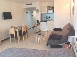Lourdes grand studio classé 2 étoiles de 1 à 4 personnes