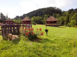 Etno village Gostoljublje, מלון בKosjerić