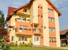 Pension Nicoleta