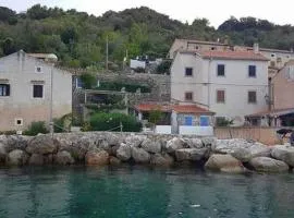 Apartments by the sea Valun, Cres - 20860