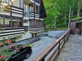 Apartament Kalinderu K2 Busteni