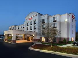 SpringHill Suites by Marriott Lynchburg Airport/University Area, מלון בלינצ'בורג