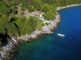 Secluded fisherman's cottage Cove Vela Studena, Brac - 20904