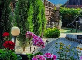 Asenata Apartament 46m2 Ustroń Centrum