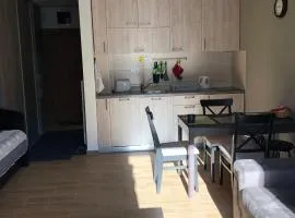 Apartman 217